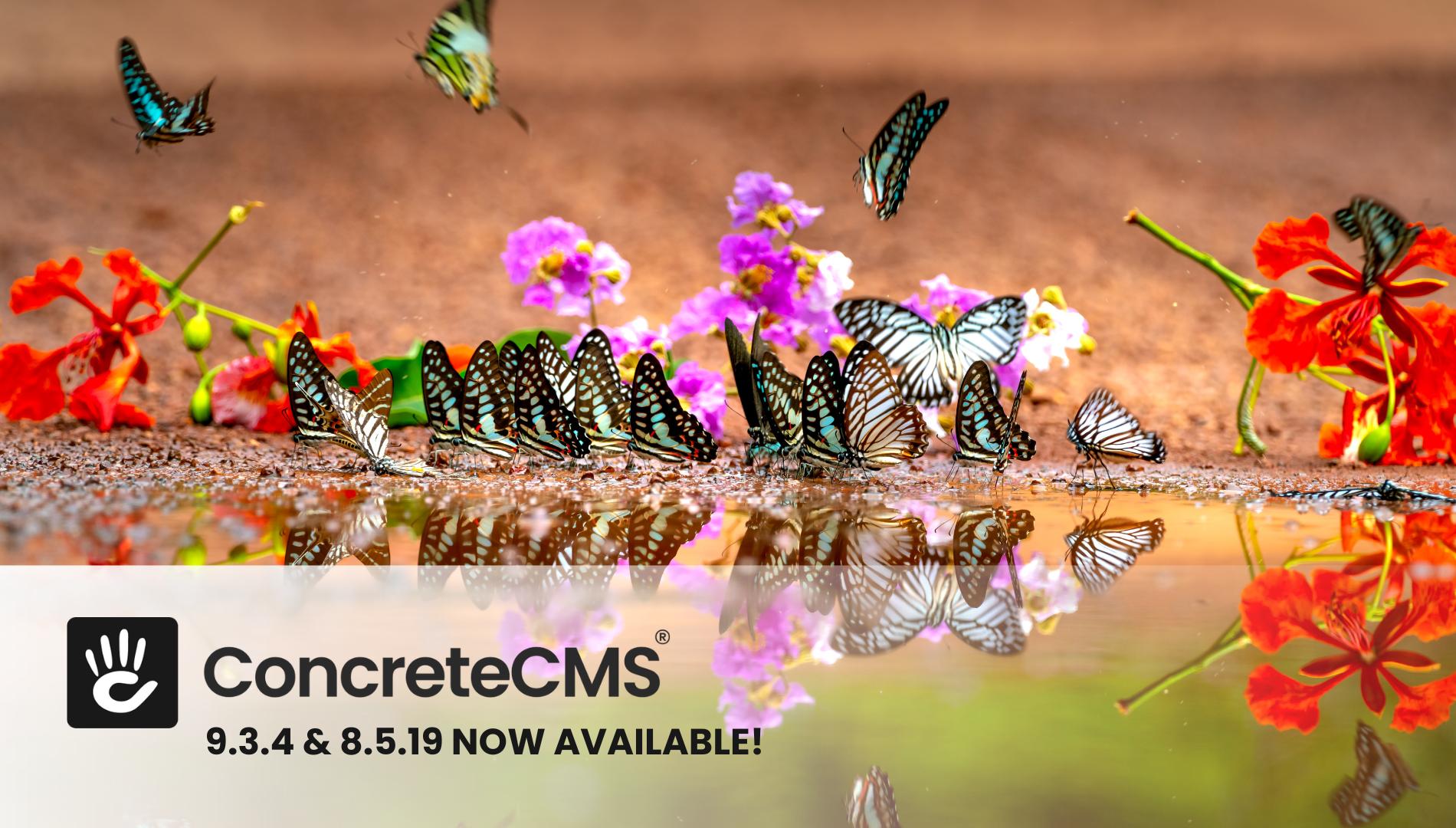 Announcing CMS 9.3.4 and 8.5.19 releases!