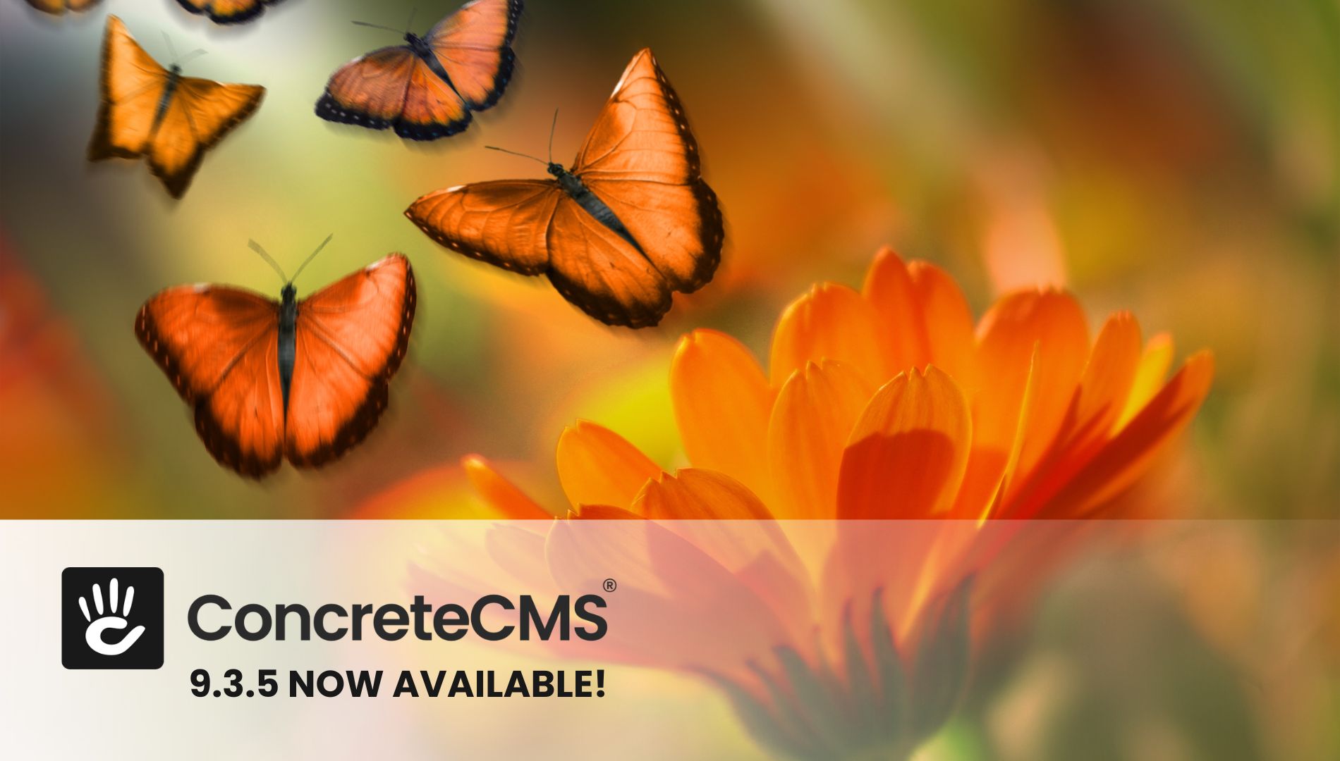 Announcing CMS 9.3.5 Release