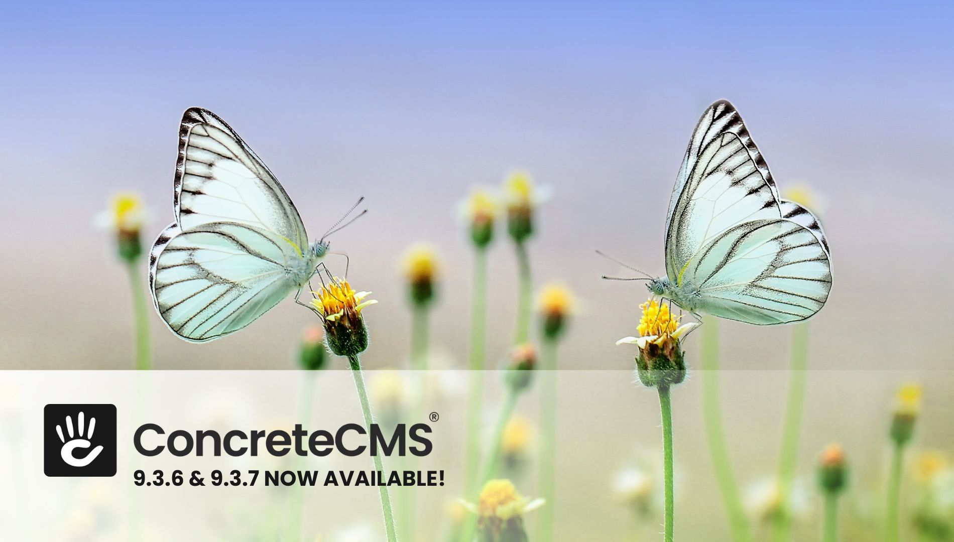 Announcing Concrete CMS 9.3.7 and 9.3.6